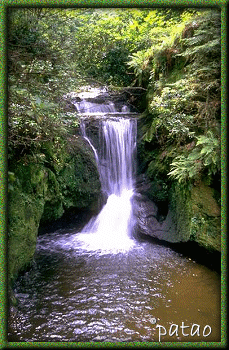 Mt Tamborine Gold Coast Mountains Mt Tamborine Stonehaven Manor on Tamborine Mountain